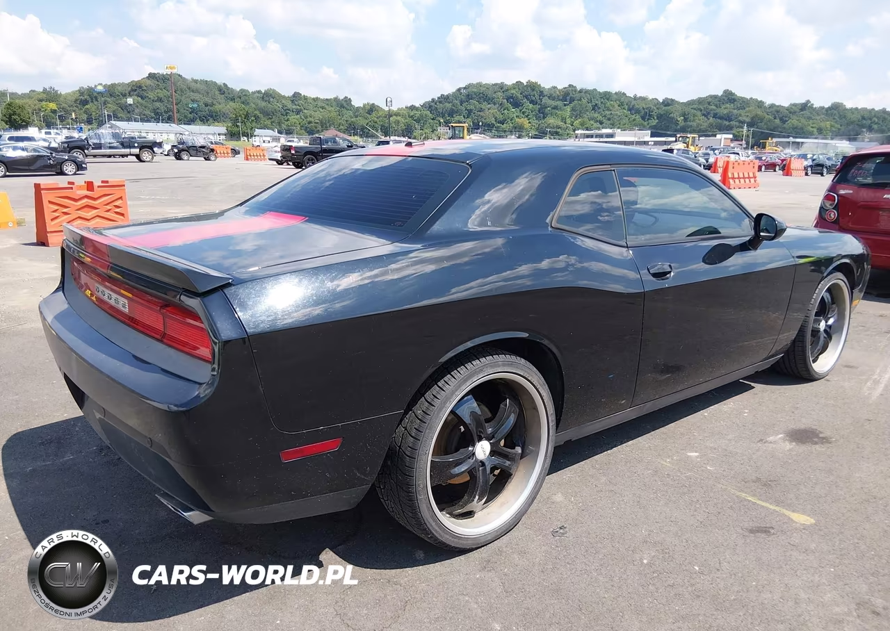 2014 Dodge Challenger Rallye Redline VIN:2C3CDYAG2EH154177 - 4