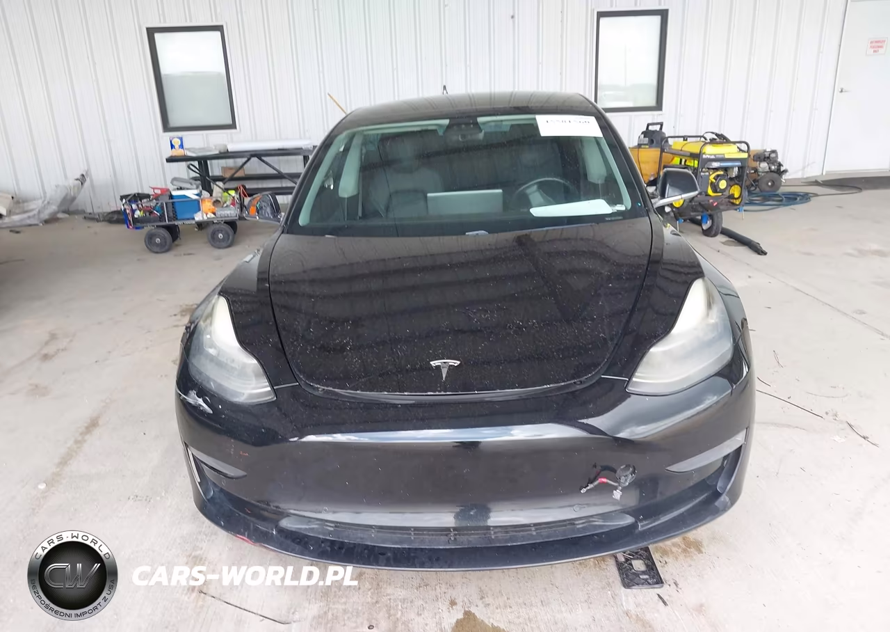 2019 Tesla Model 3 Long Range-Mid Range-Standard Range-Standard Range Plus VIN:5YJ3E1EA7KF415648 - 11