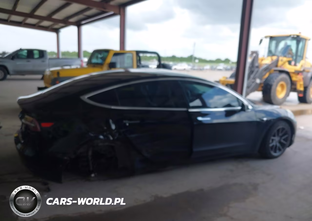 2019 Tesla Model 3 Long Range-Mid Range-Standard Range-Standard Range Plus VIN:5YJ3E1EA7KF415648 - 12
