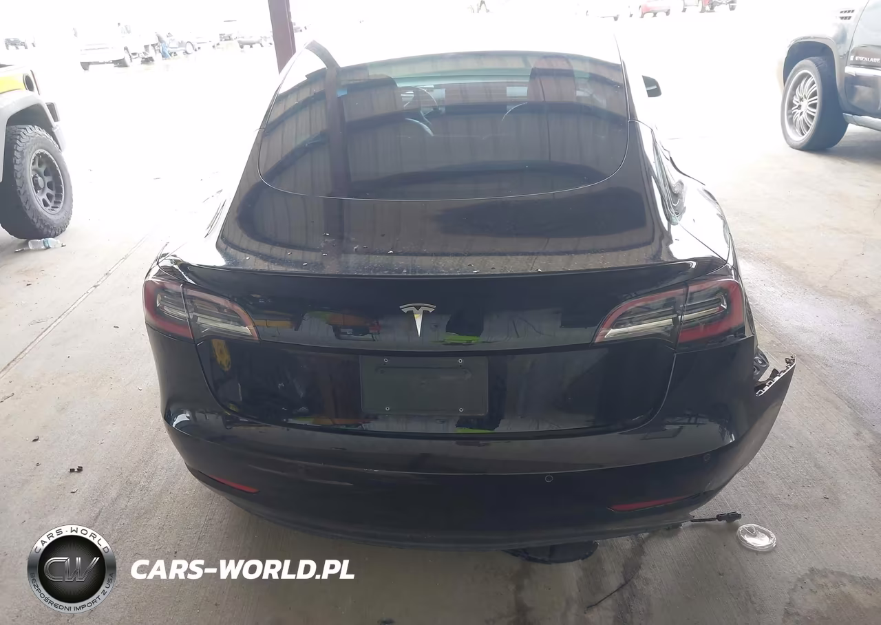 2019 Tesla Model 3 Long Range-Mid Range-Standard Range-Standard Range Plus VIN:5YJ3E1EA7KF415648 - 15
