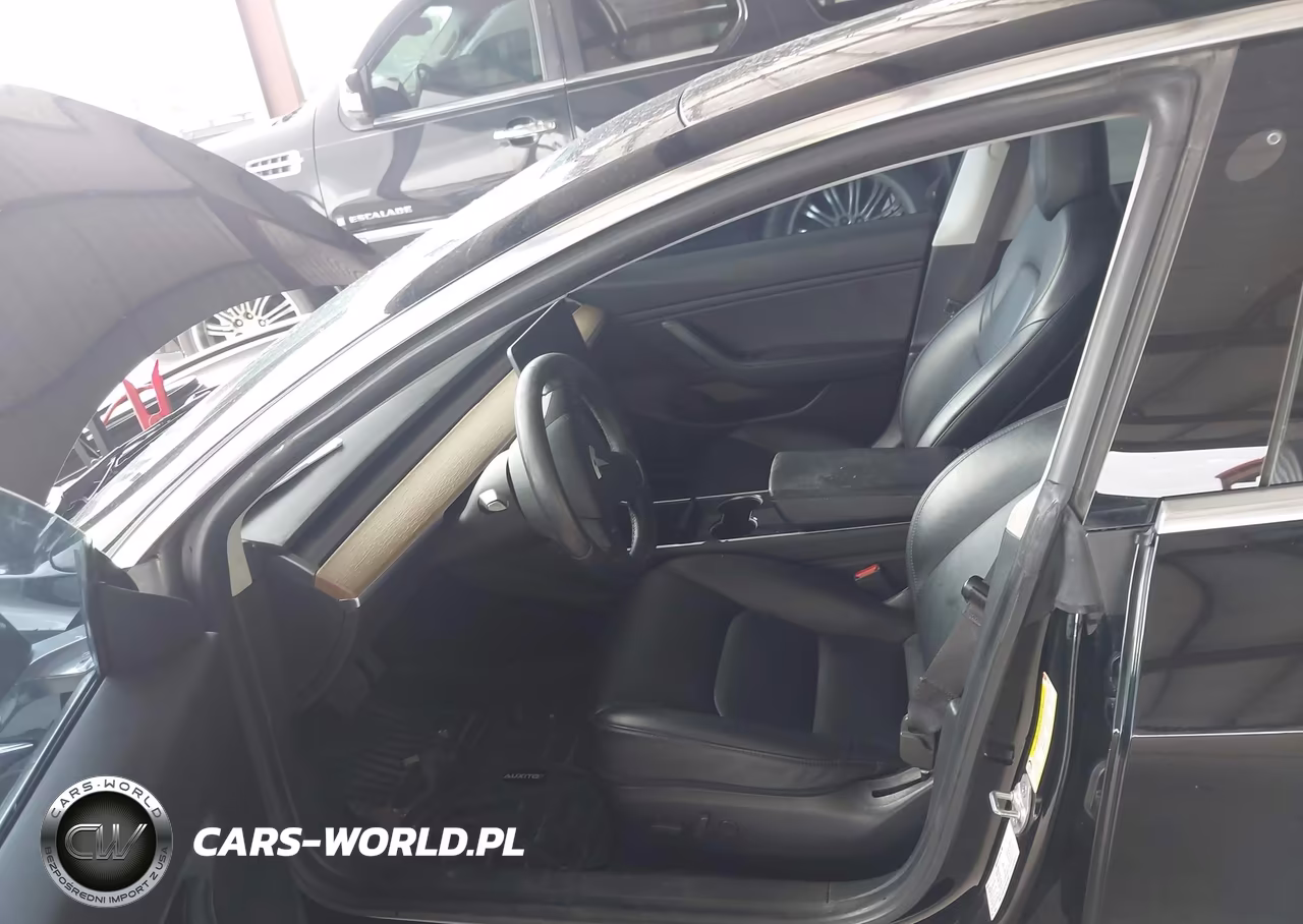 2019 Tesla Model 3 Long Range-Mid Range-Standard Range-Standard Range Plus VIN:5YJ3E1EA7KF415648 - 8