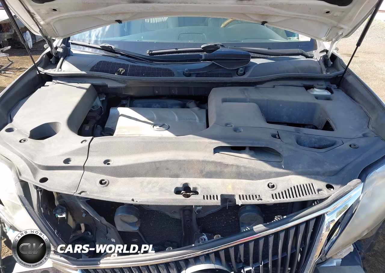 2010 Lexus Rx 350 VIN:2T2BK1BA9AC066452 - 10