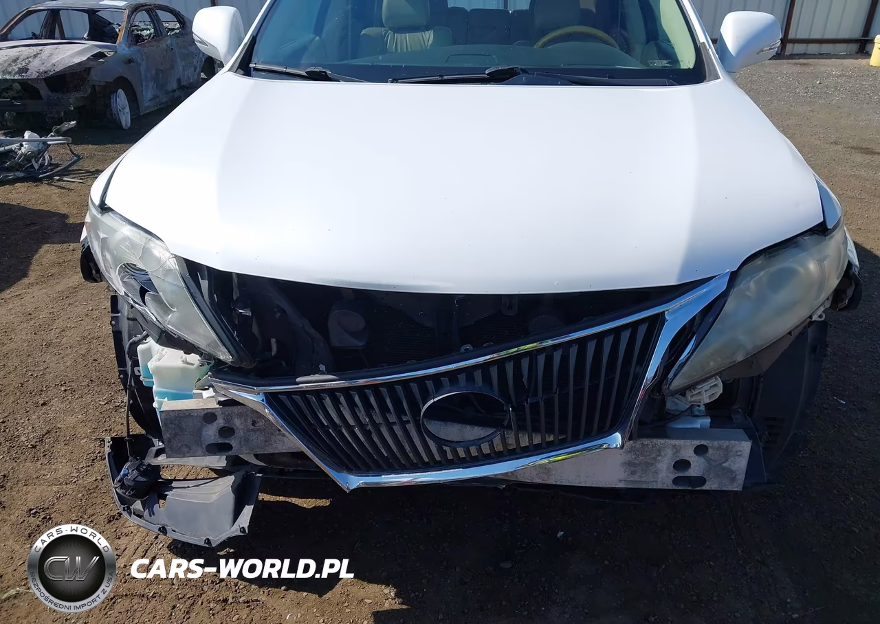 2010 Lexus Rx 350 VIN:2T2BK1BA9AC066452 - 6