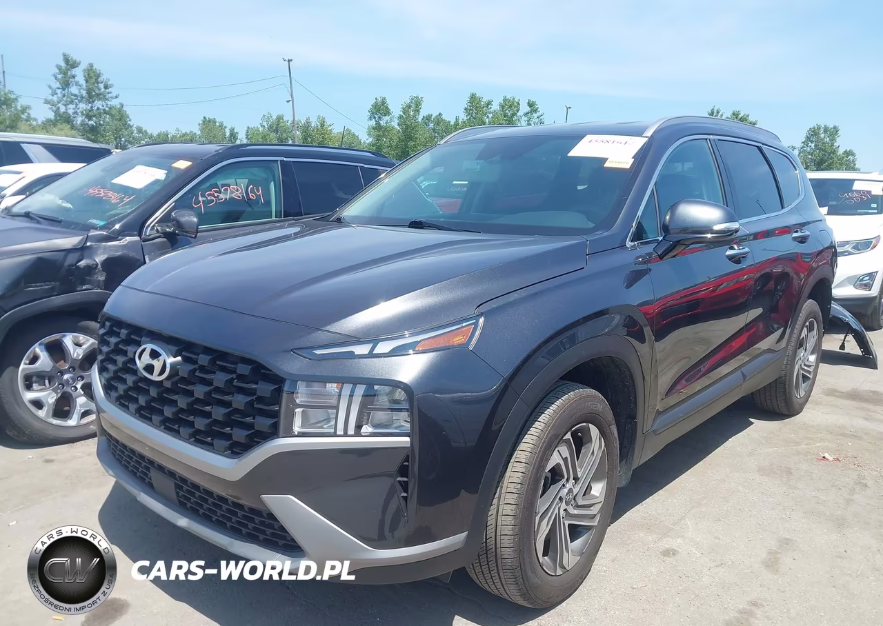2023 Hyundai Santa Fe Sel VIN:5NMS2DAJ2PH633918 - 2