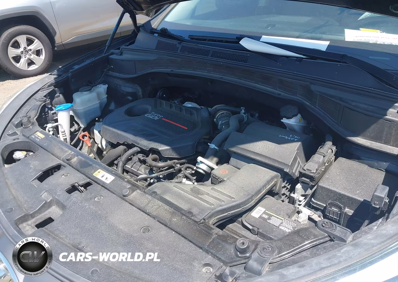 2017 Hyundai Santa Fe Sport 2.0T Ultimate VIN:5NMZW4LA3HH043115 - 10