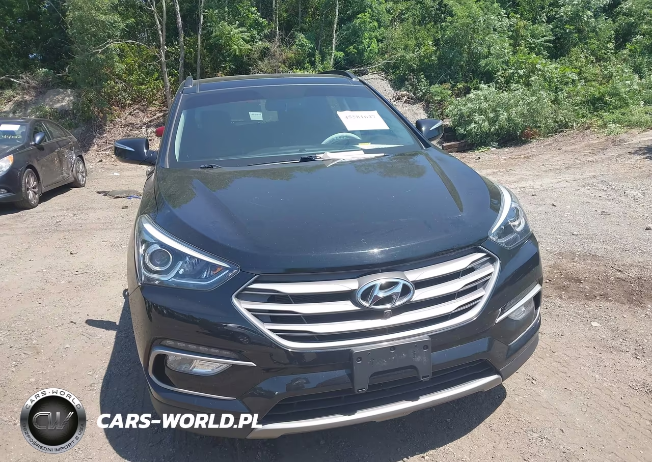 2017 Hyundai Santa Fe Sport 2.0T Ultimate VIN:5NMZW4LA3HH043115 - 12