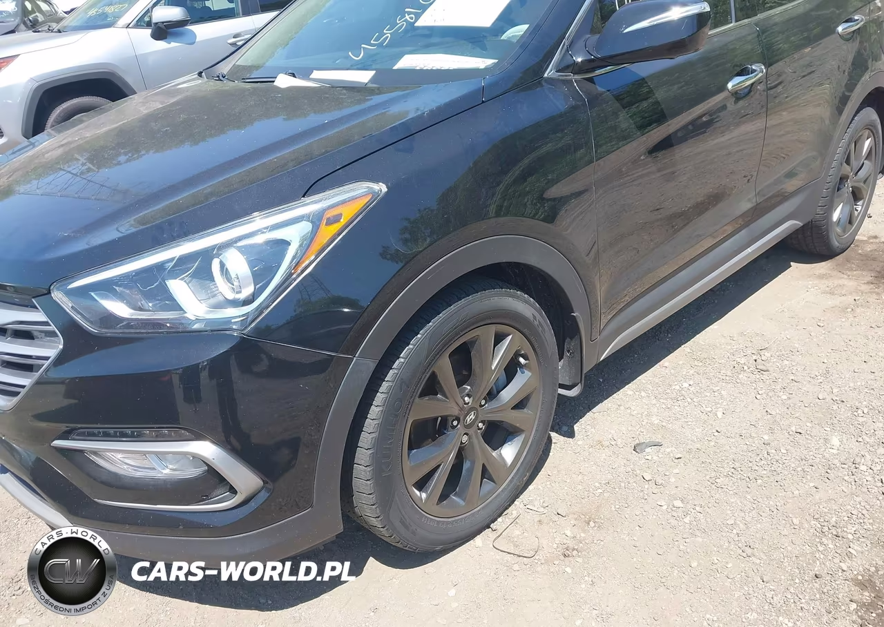 2017 Hyundai Santa Fe Sport 2.0T Ultimate VIN:5NMZW4LA3HH043115 - 6