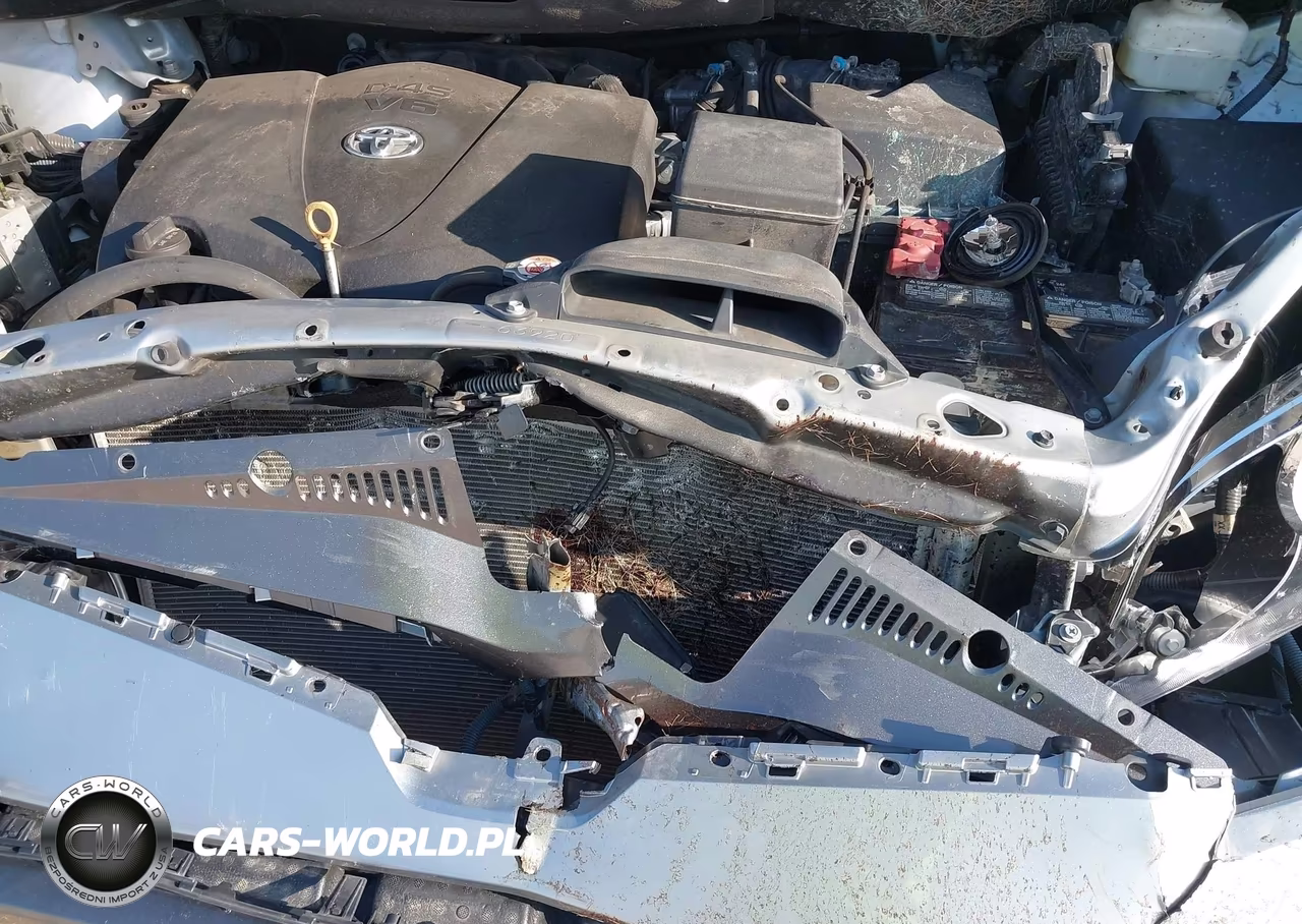 2020 Toyota Sienna Xle VIN:5TDDZ3DC8LS251170 - 18