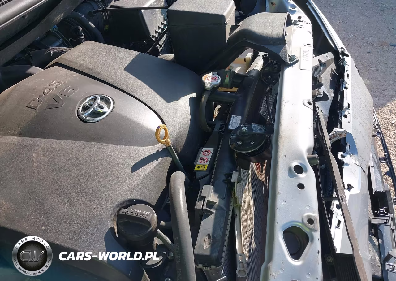 2020 Toyota Sienna Xle VIN:5TDDZ3DC8LS251170 - 19