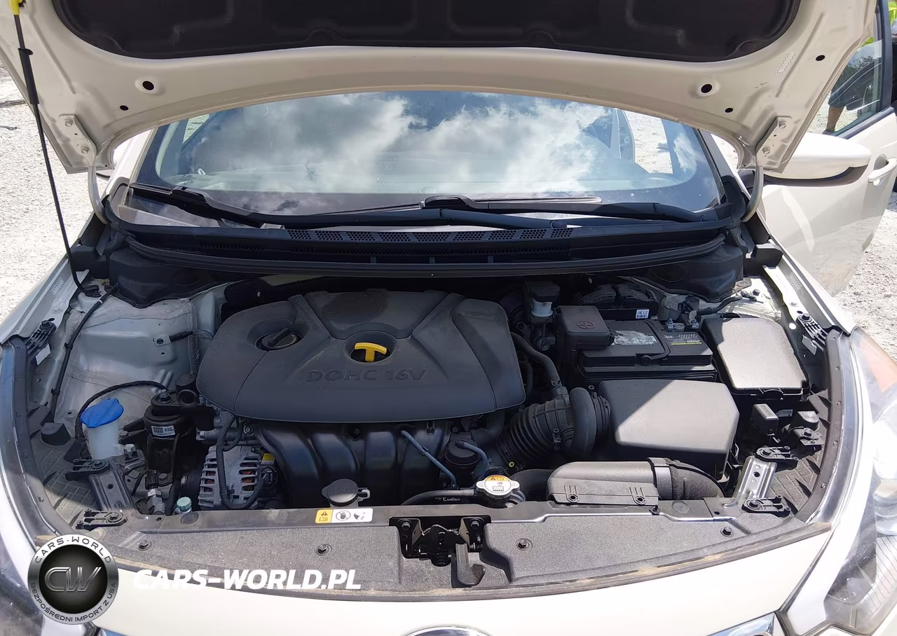 2015 Kia Forte Lx VIN:KNAFK4A6XF5409548 - 10