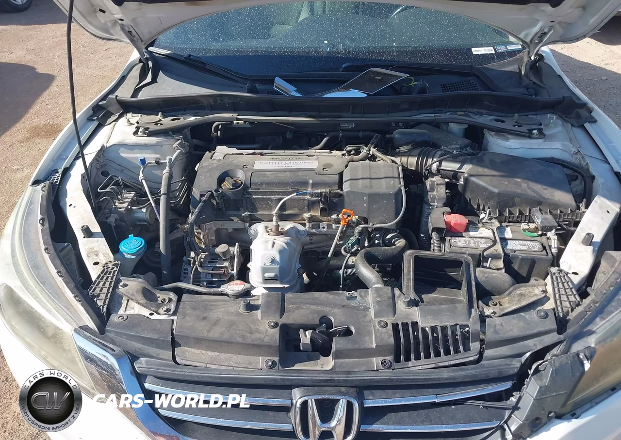 2014 Honda Accord Ex-L VIN:1HGCR2F84EA111231 - 10
