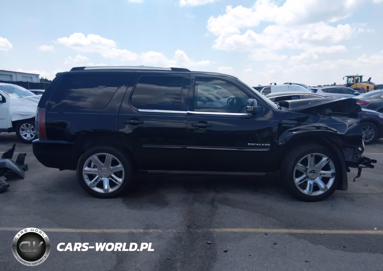 2013 Cadillac Escalade Premium VIN:1GYS3CEF5DR207378 - 13