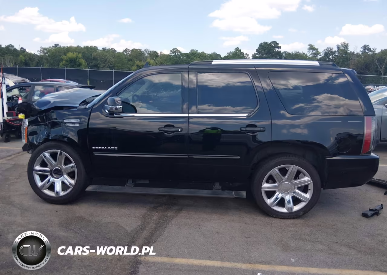 2013 Cadillac Escalade Premium VIN:1GYS3CEF5DR207378 - 14