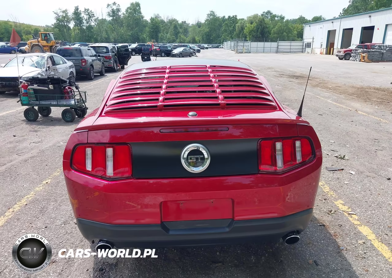 2010 Ford Mustang Gt-Gt Premium VIN:1ZVBP8CH3A5131686 - 17