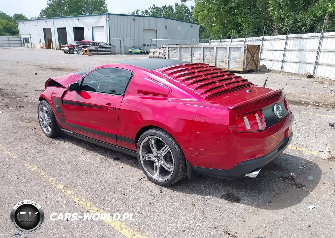 2010 Ford Mustang Gt-Gt Premium VIN:1ZVBP8CH3A5131686 - 3