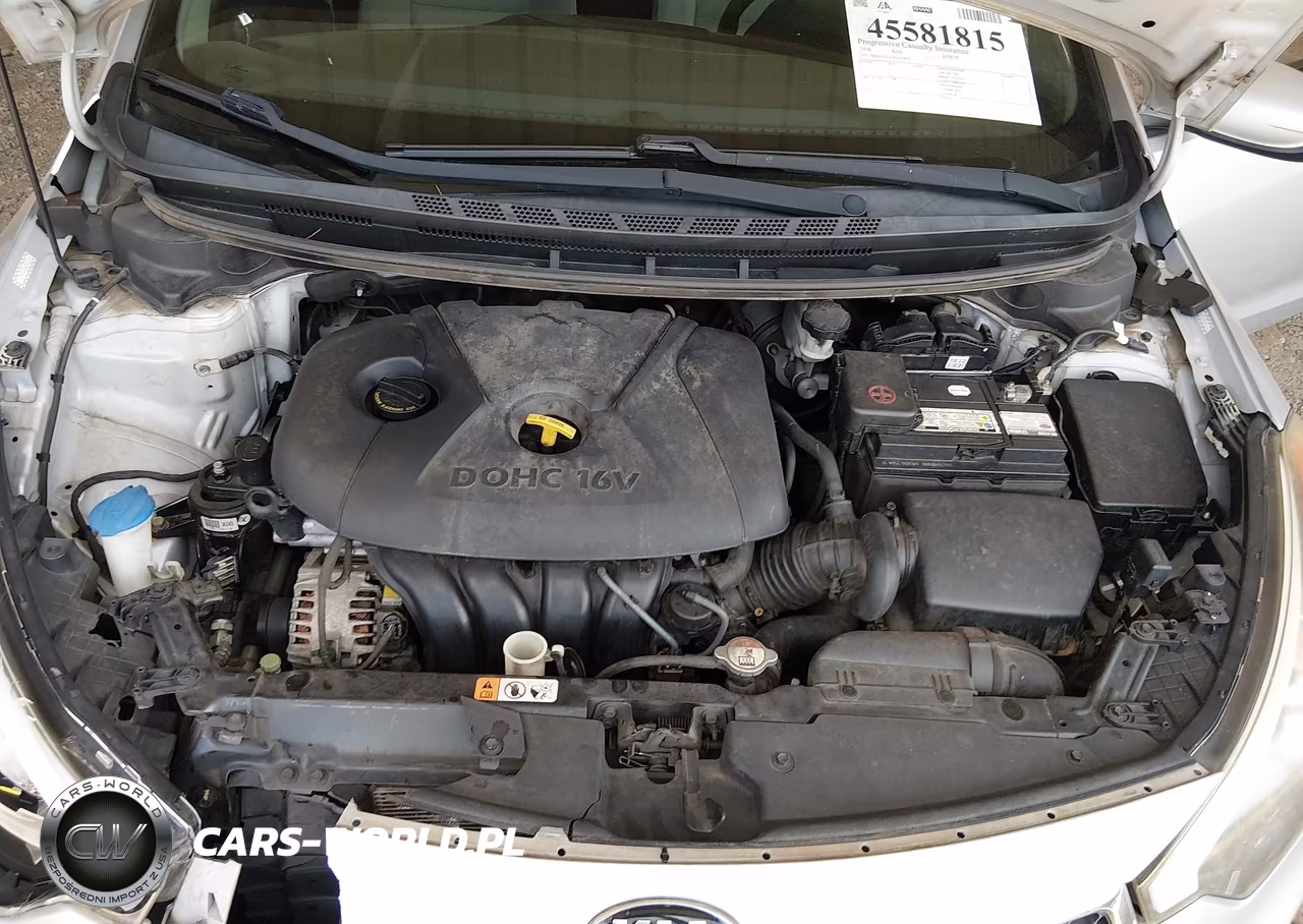 2016 Kia Forte Lx VIN:KNAFK4A67G5559022 - 10