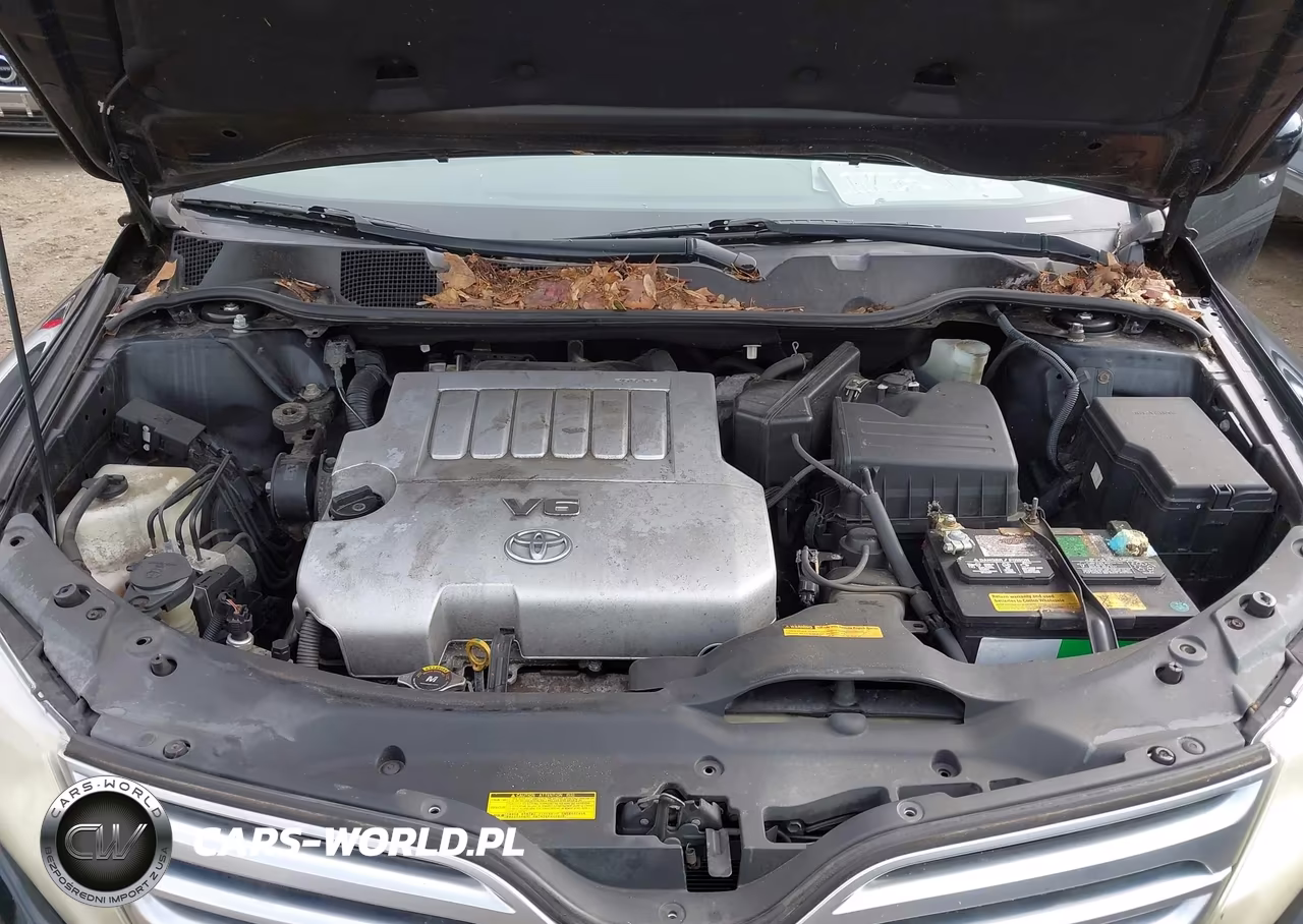 2009 Toyota Venza Base V6 VIN:4T3ZK11AX9U007481 - 10