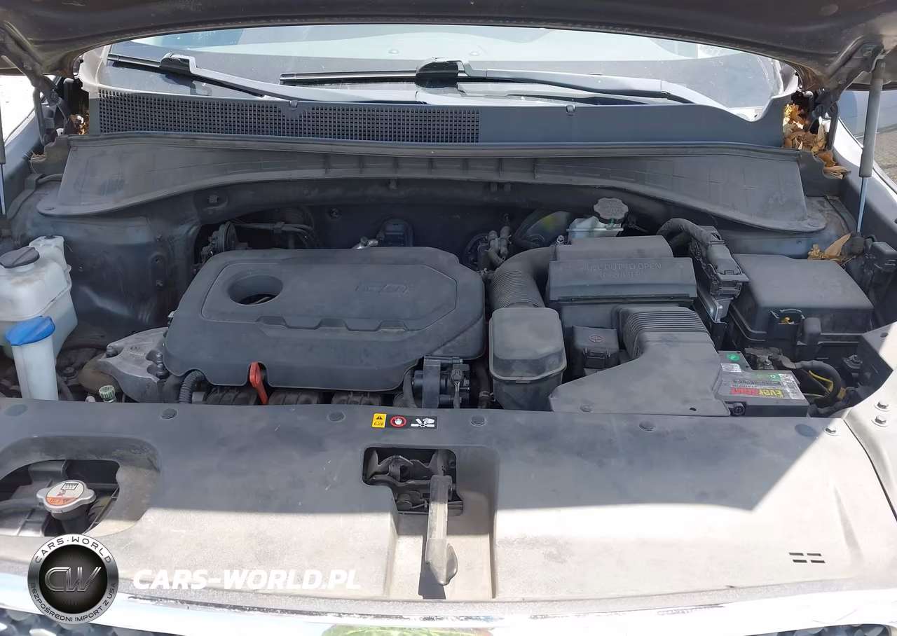 2018 Kia Sorento 2.4L Lx VIN:5XYPG4A32JG402303 - 10