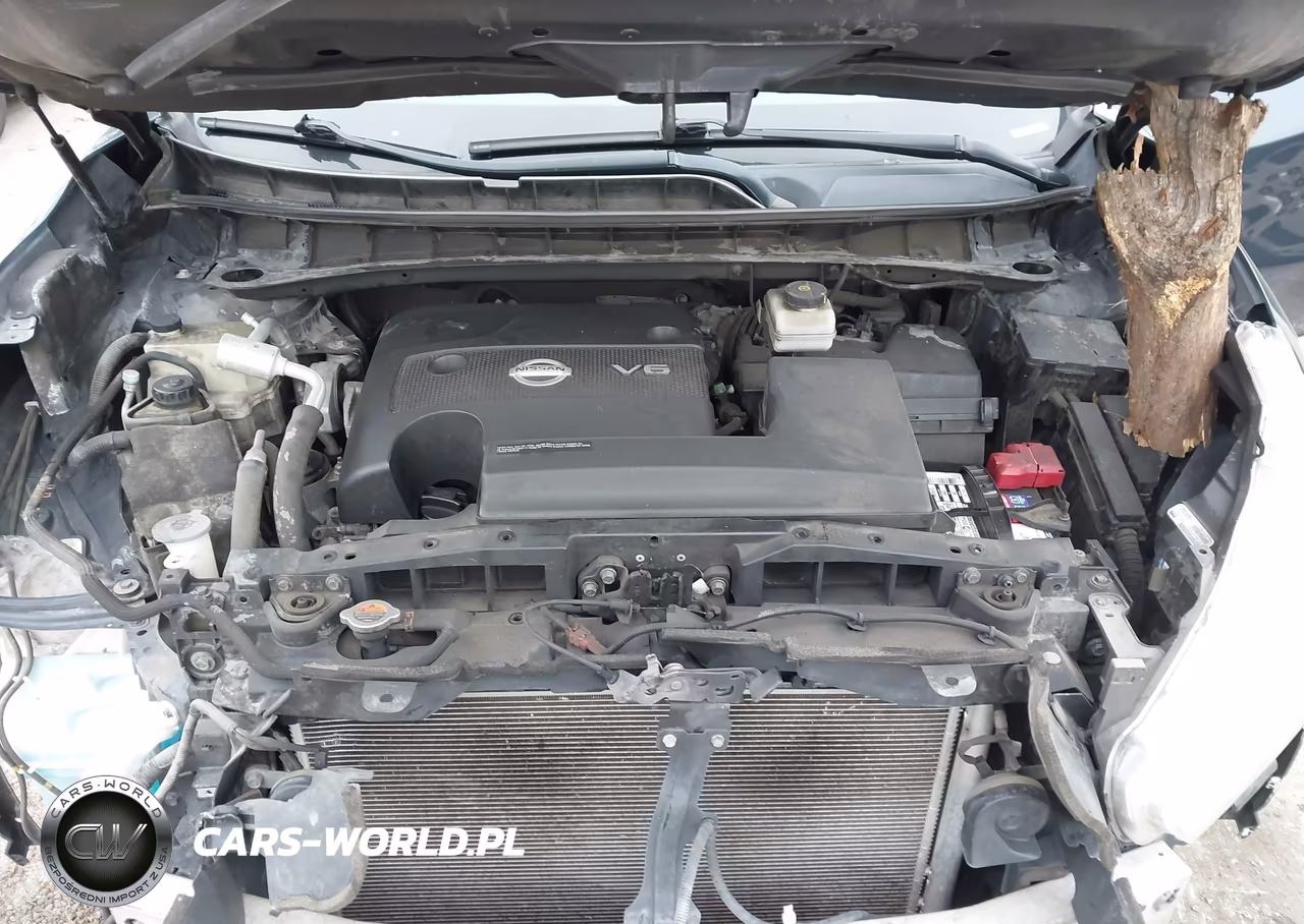 2015 Nissan Murano Sl VIN:5N1AZ2MH4FN220738 - 10