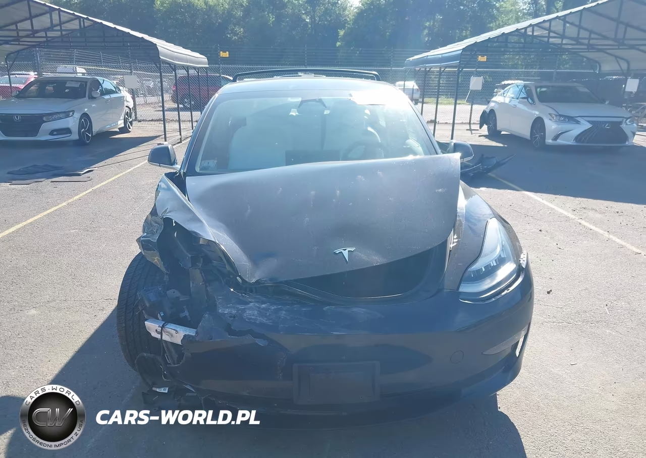 2019 Tesla Model 3 Long Range-Performance VIN:5YJ3E1EB0KF421297 - 12