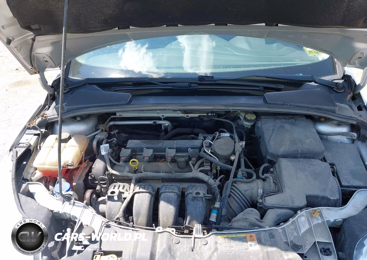 2014 Ford Focus Se VIN:1FADP3K20EL243199 - 10