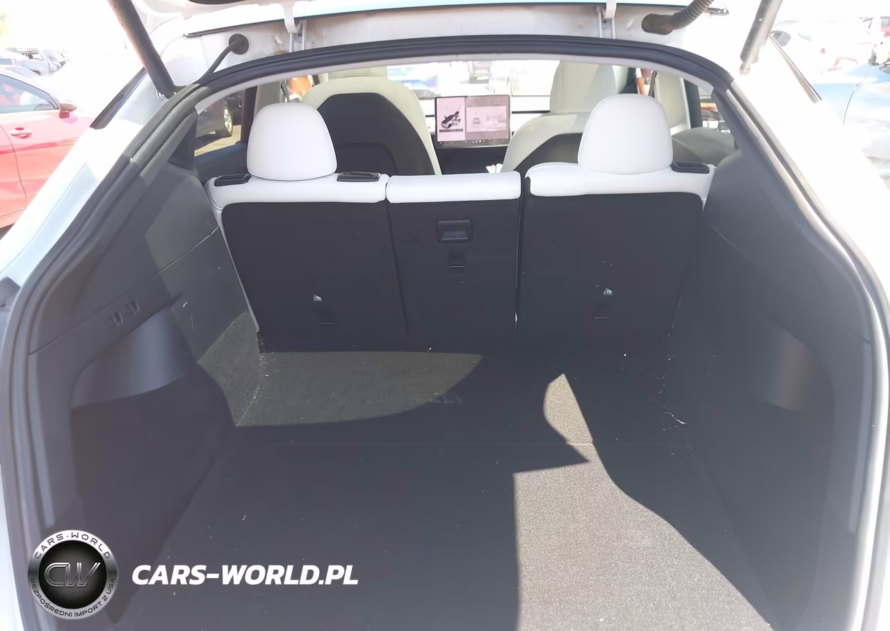 2021 Tesla Model Y Performance Dual Motor All-Wheel Drive VIN:5YJYGDEF0MF252292 - 20