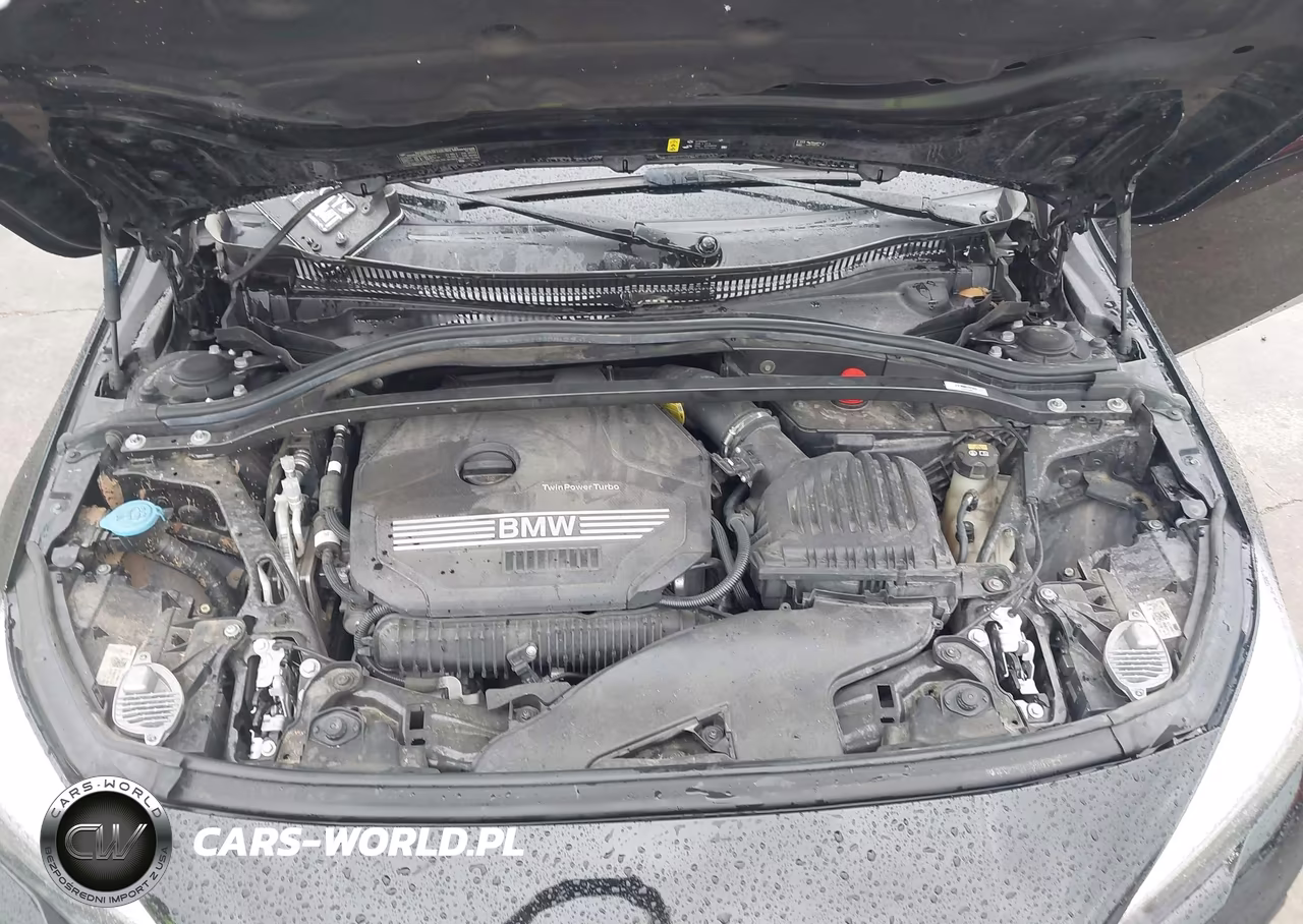2021 BMW 228I Gran Coupe xDrive VIN:WBA73AK04M7H68280 - 10