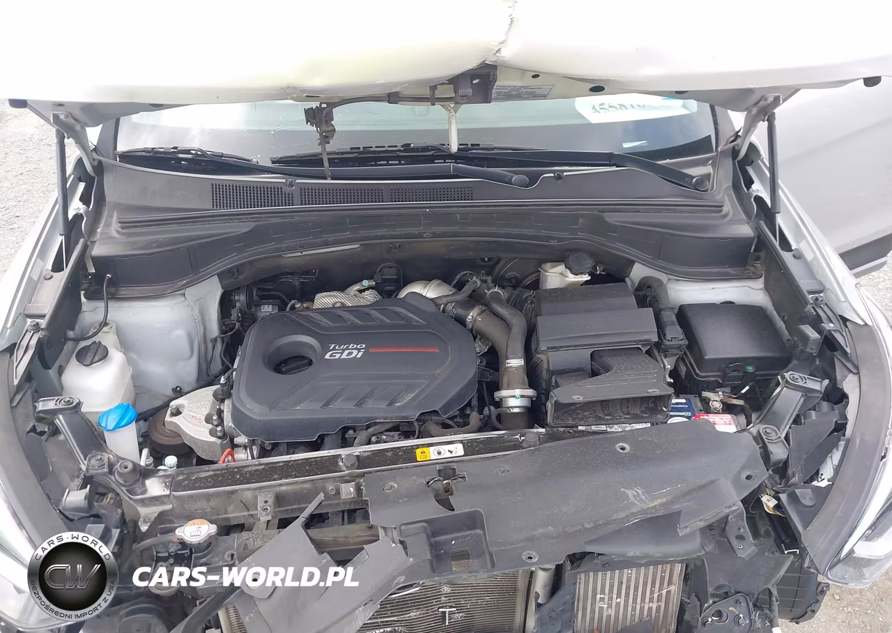 2018 Hyundai Santa Fe Sport 2.0T Ultimate VIN:5XYZWDLA4JG536043 - 10