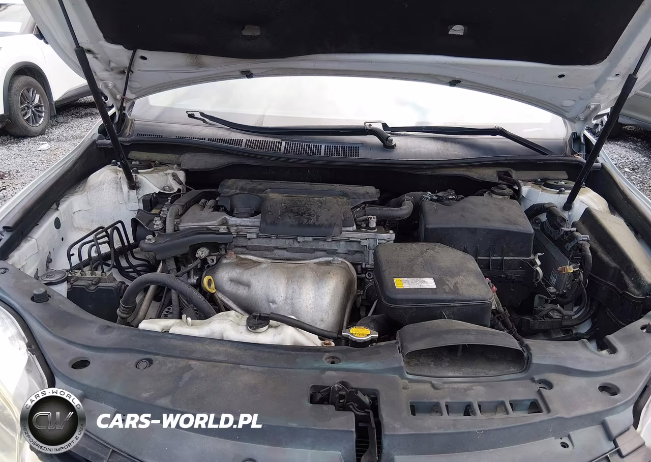 2015 Toyota Camry Xse VIN:4T1BF1FK2FU096698 - 10