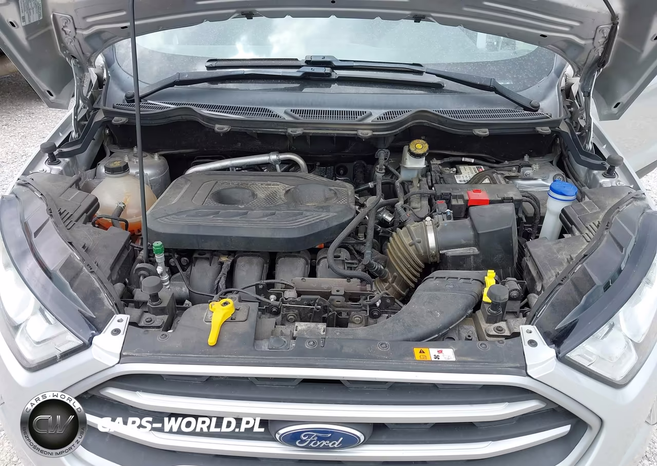 2019 Ford Ecosport Se VIN:MAJ6S3GL1KC276197 - 10