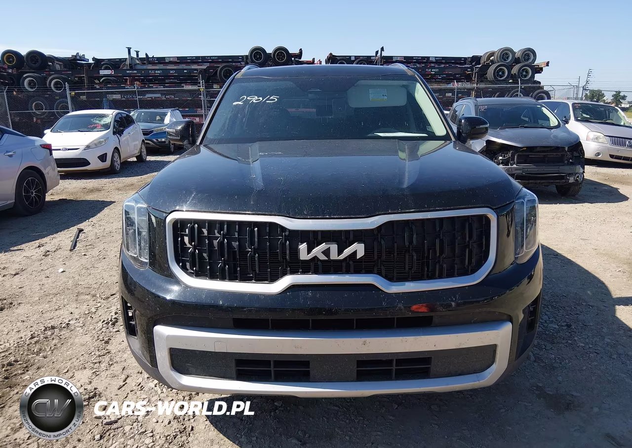 2024 Kia Telluride Ex VIN:5XYP34GC9RG534828 - 12