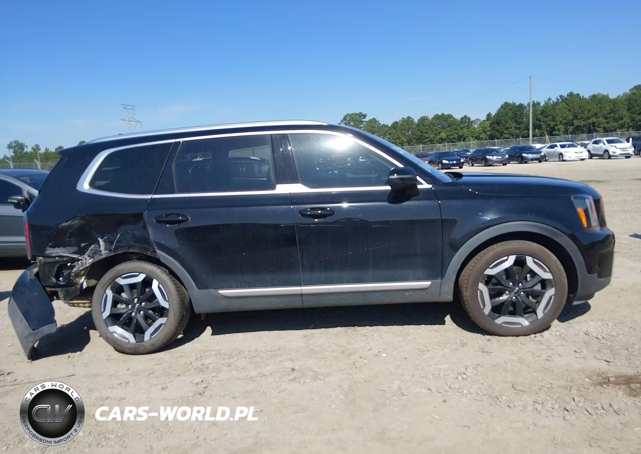 2024 Kia Telluride Ex VIN:5XYP34GC9RG534828 - 13
