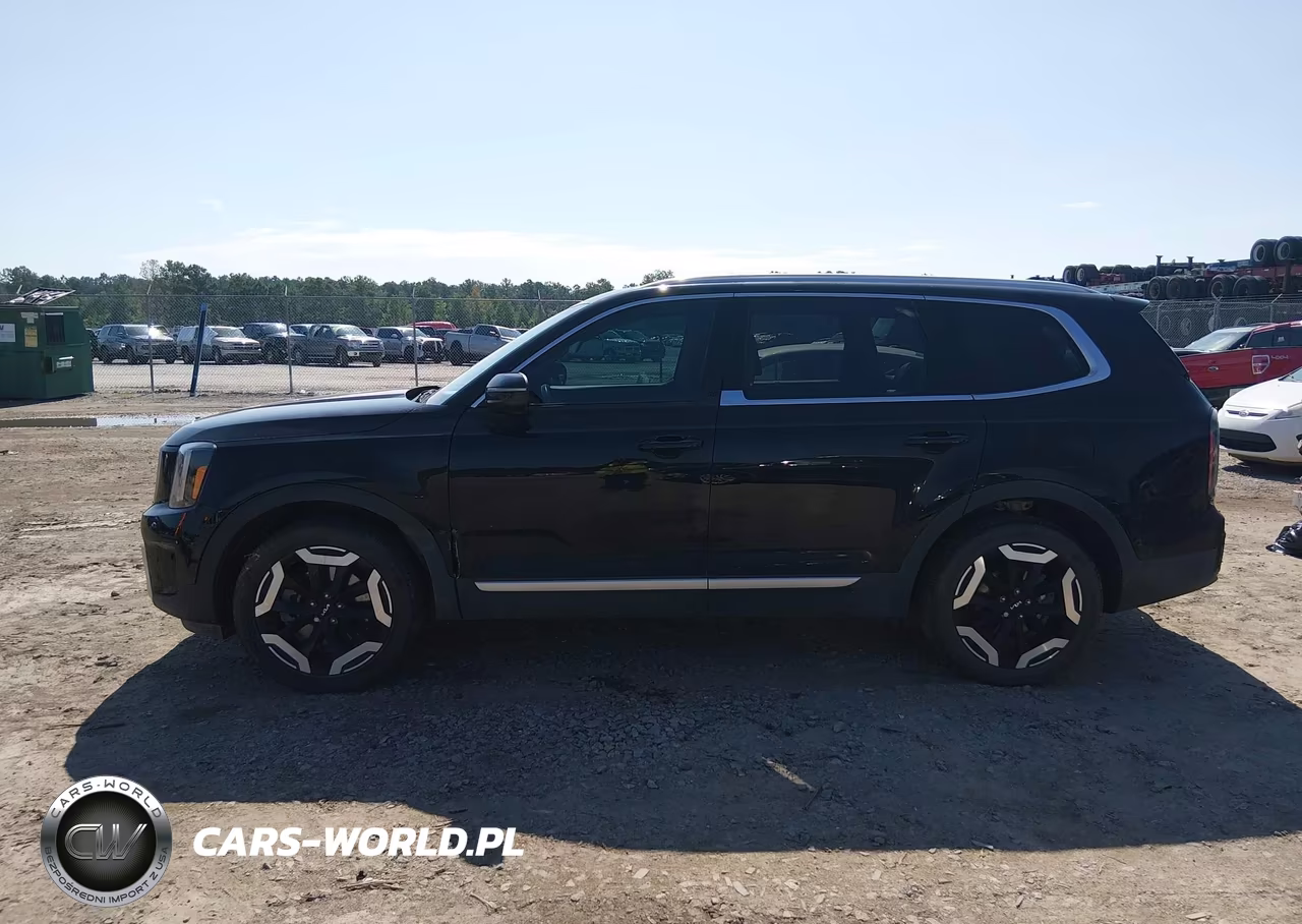 2024 Kia Telluride Ex VIN:5XYP34GC9RG534828 - 14
