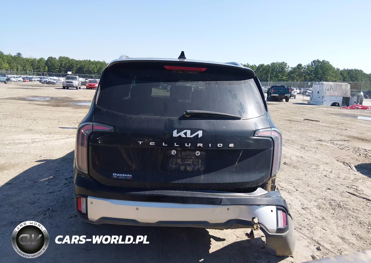 2024 Kia Telluride Ex VIN:5XYP34GC9RG534828 - 16