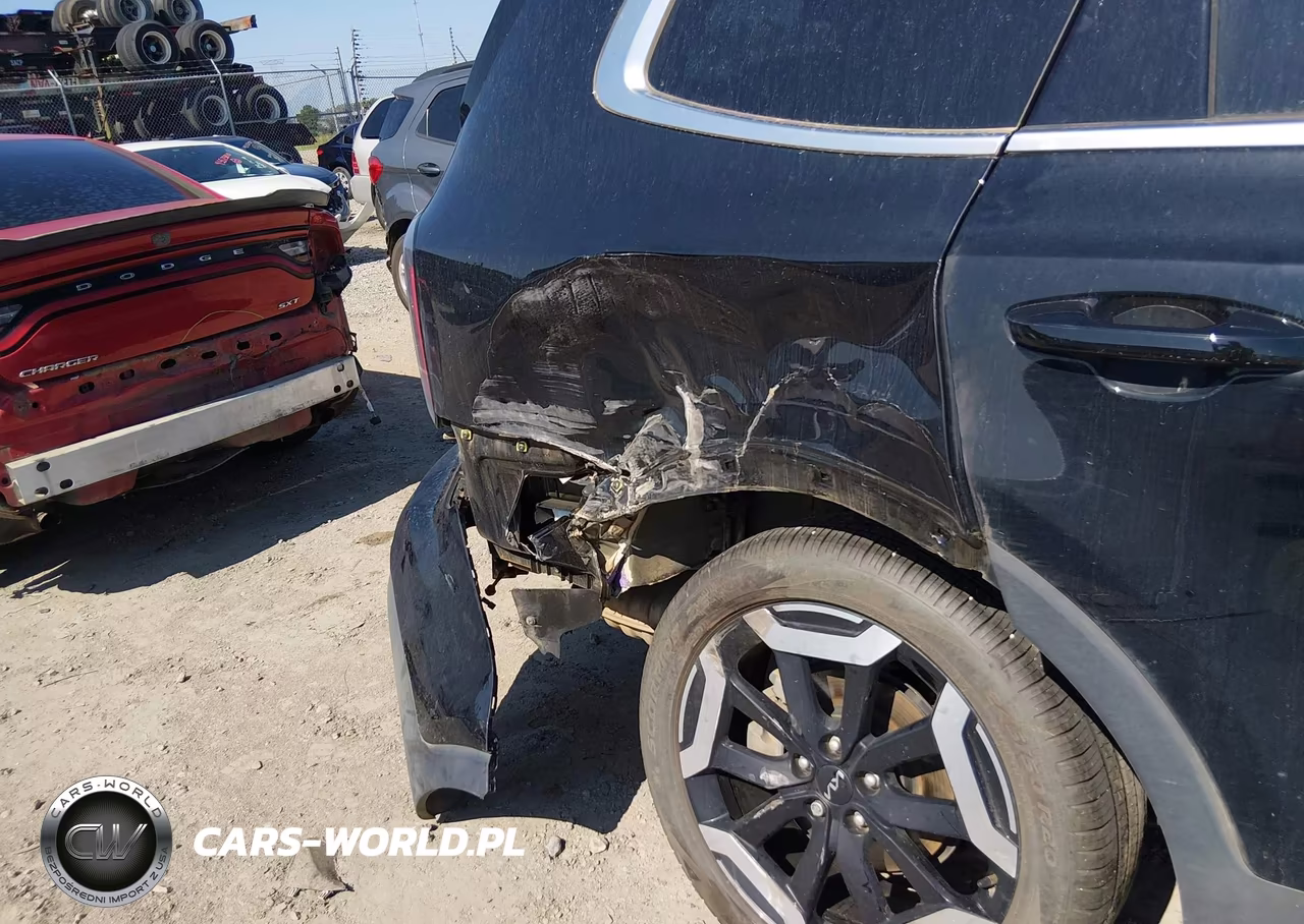 2024 Kia Telluride Ex VIN:5XYP34GC9RG534828 - 17