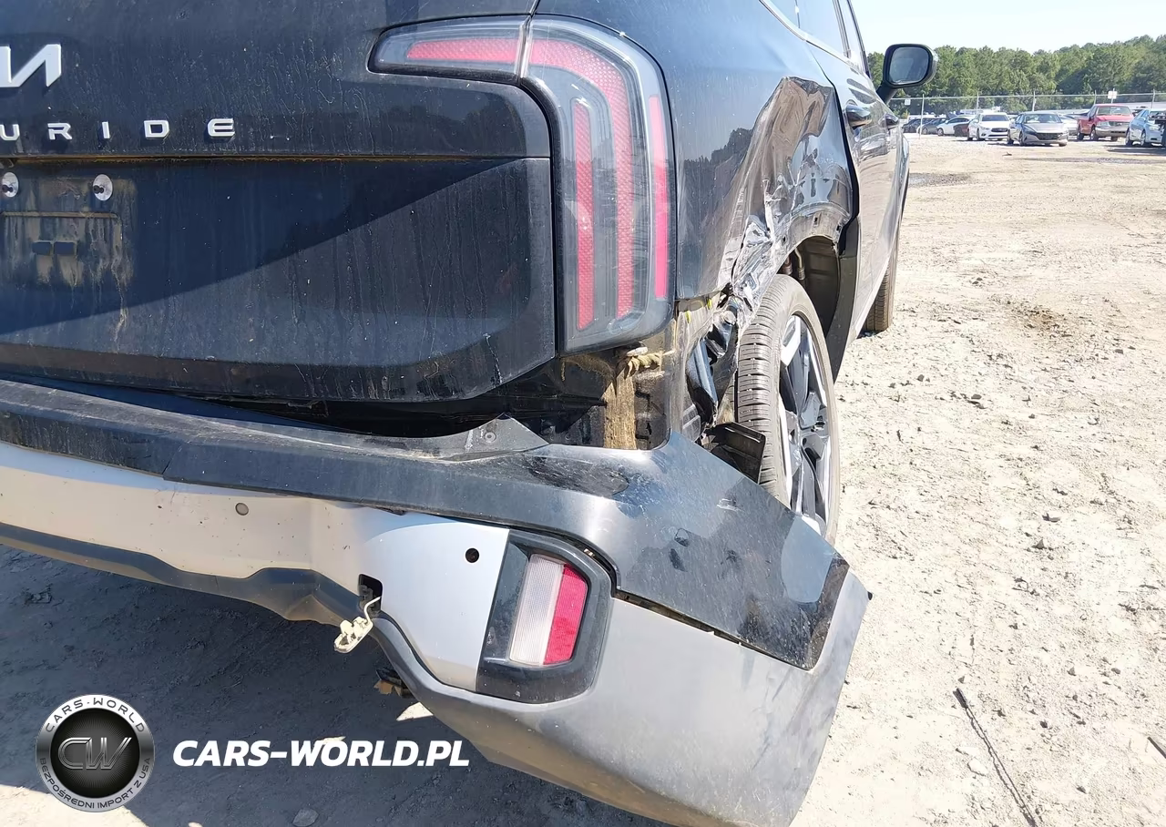 2024 Kia Telluride Ex VIN:5XYP34GC9RG534828 - 18