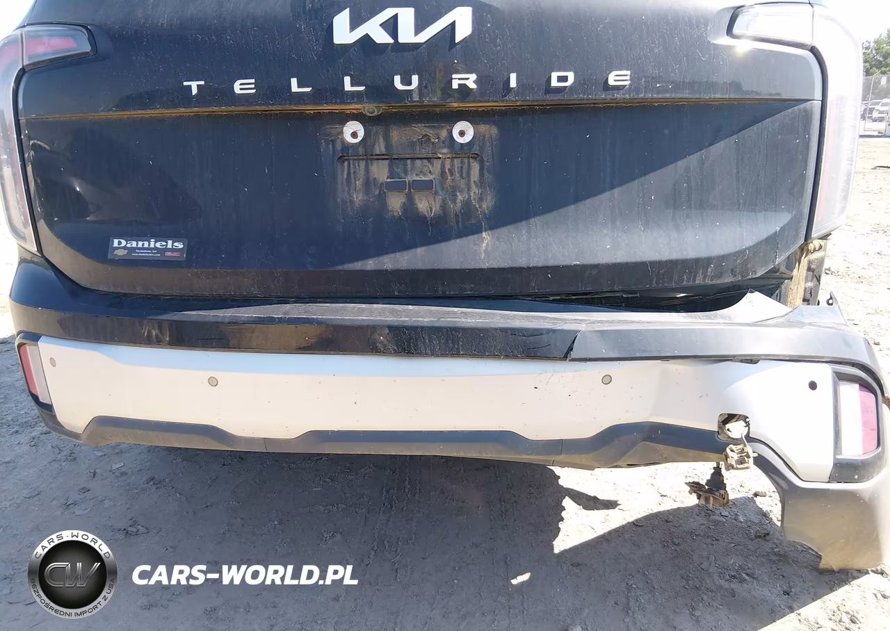2024 Kia Telluride Ex VIN:5XYP34GC9RG534828 - 19