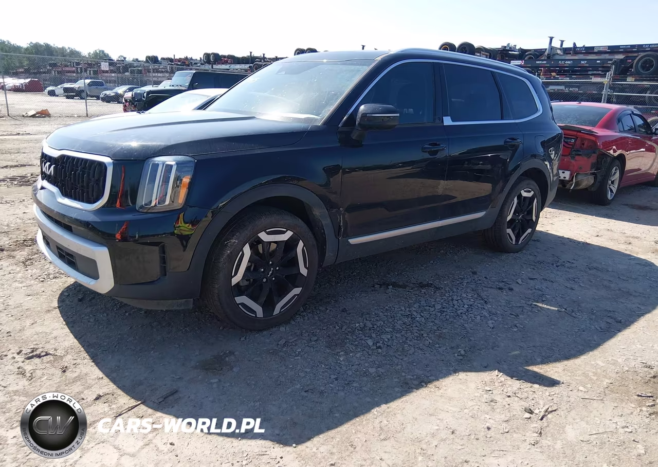 2024 Kia Telluride Ex VIN:5XYP34GC9RG534828 - 2