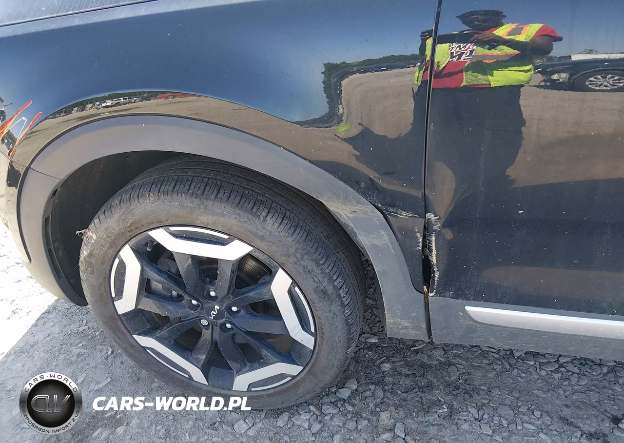 2024 Kia Telluride Ex VIN:5XYP34GC9RG534828 - 20