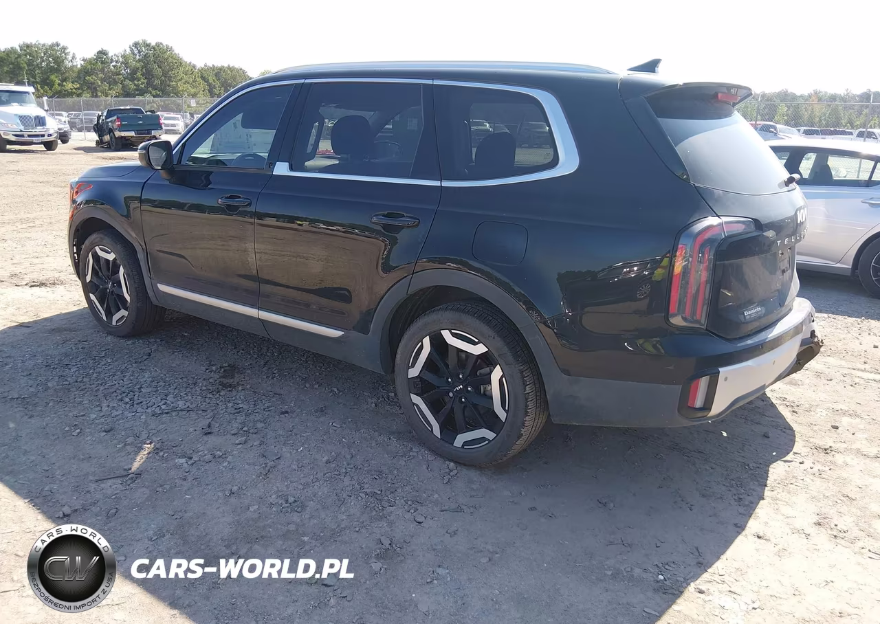 2024 Kia Telluride Ex VIN:5XYP34GC9RG534828 - 3