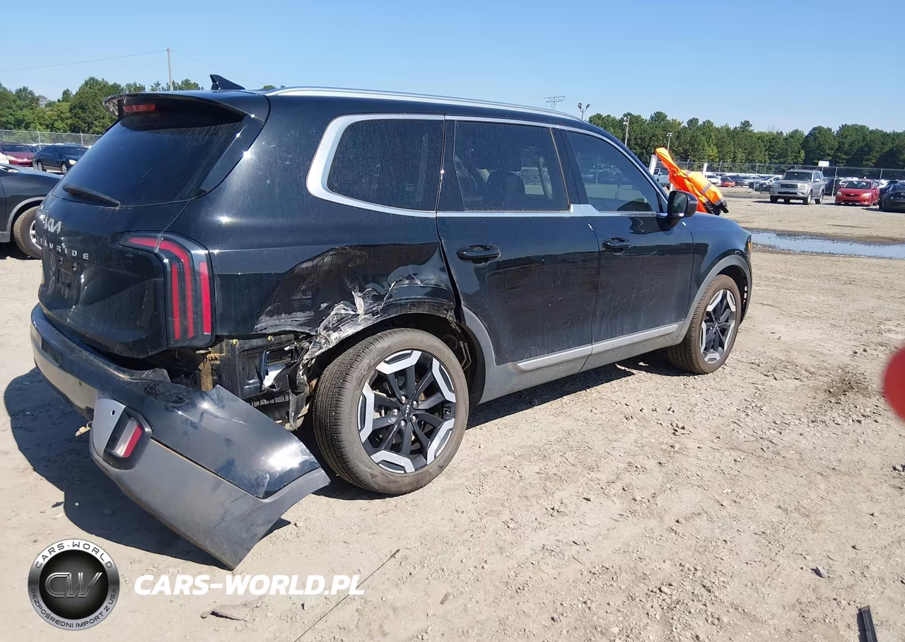 2024 Kia Telluride Ex VIN:5XYP34GC9RG534828 - 4