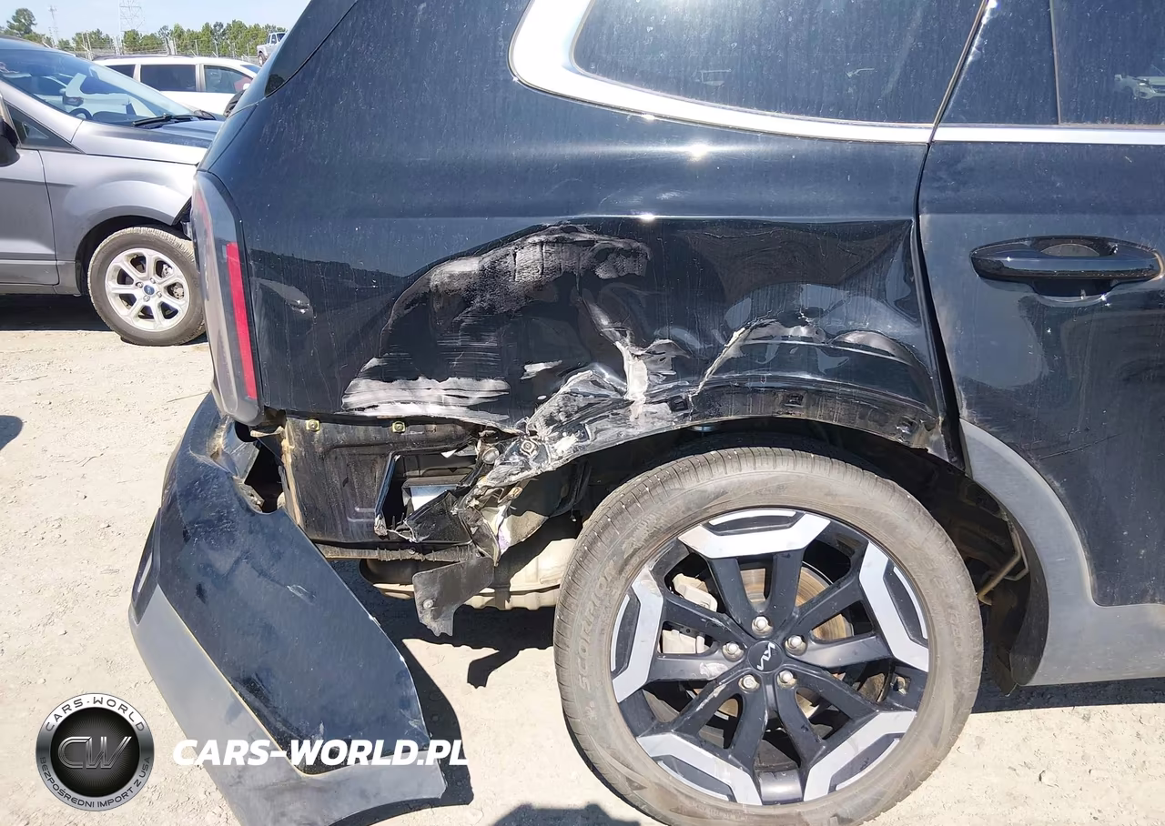 2024 Kia Telluride Ex VIN:5XYP34GC9RG534828 - 6