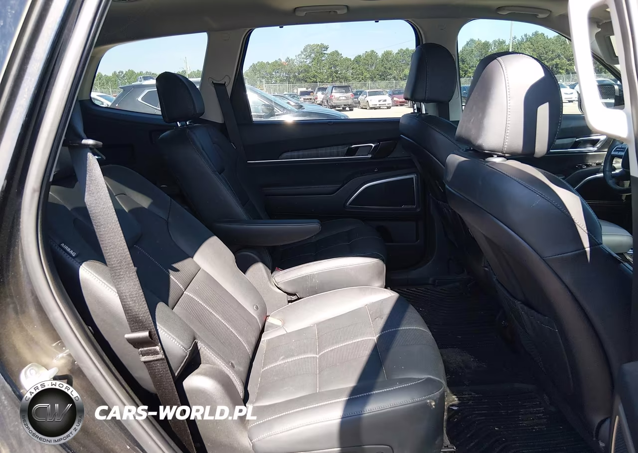 2024 Kia Telluride Ex VIN:5XYP34GC9RG534828 - 8