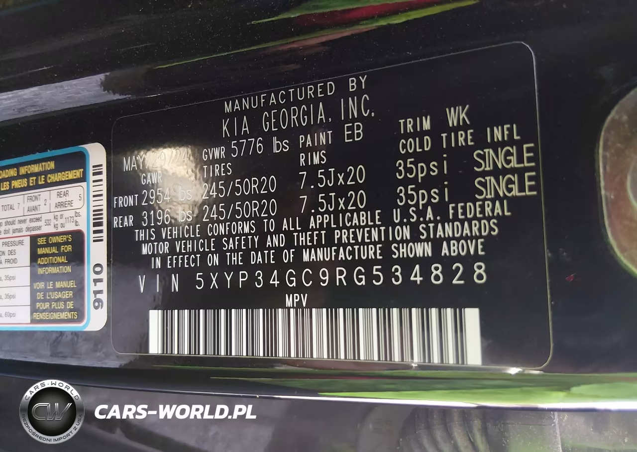2024 Kia Telluride Ex VIN:5XYP34GC9RG534828 - 9