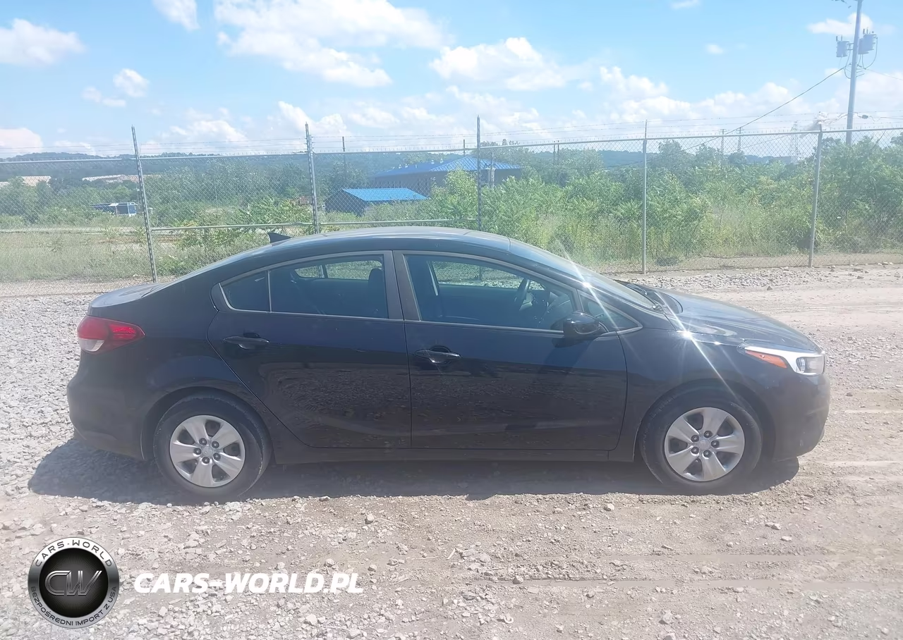 2018 Kia Forte Lx VIN:3KPFK4A73JE197052 - 13