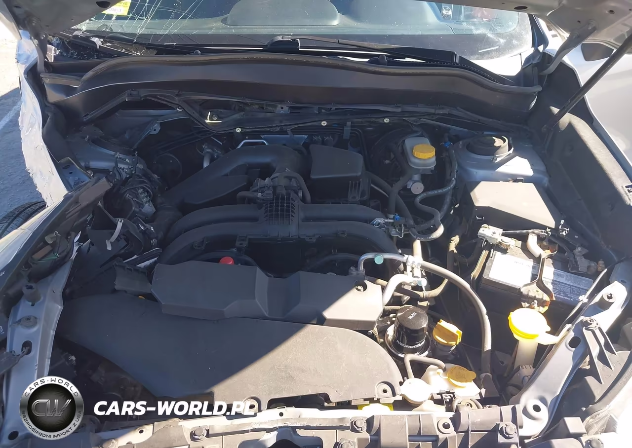 2017 Subaru Forester 2.5I Premium VIN:JF2SJAGC2HH494050 - 10