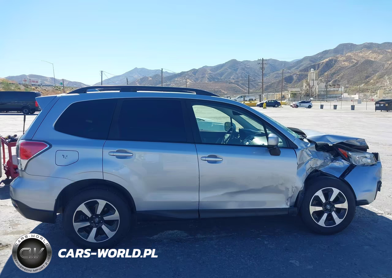 2017 Subaru Forester 2.5I Premium VIN:JF2SJAGC2HH494050 - 13