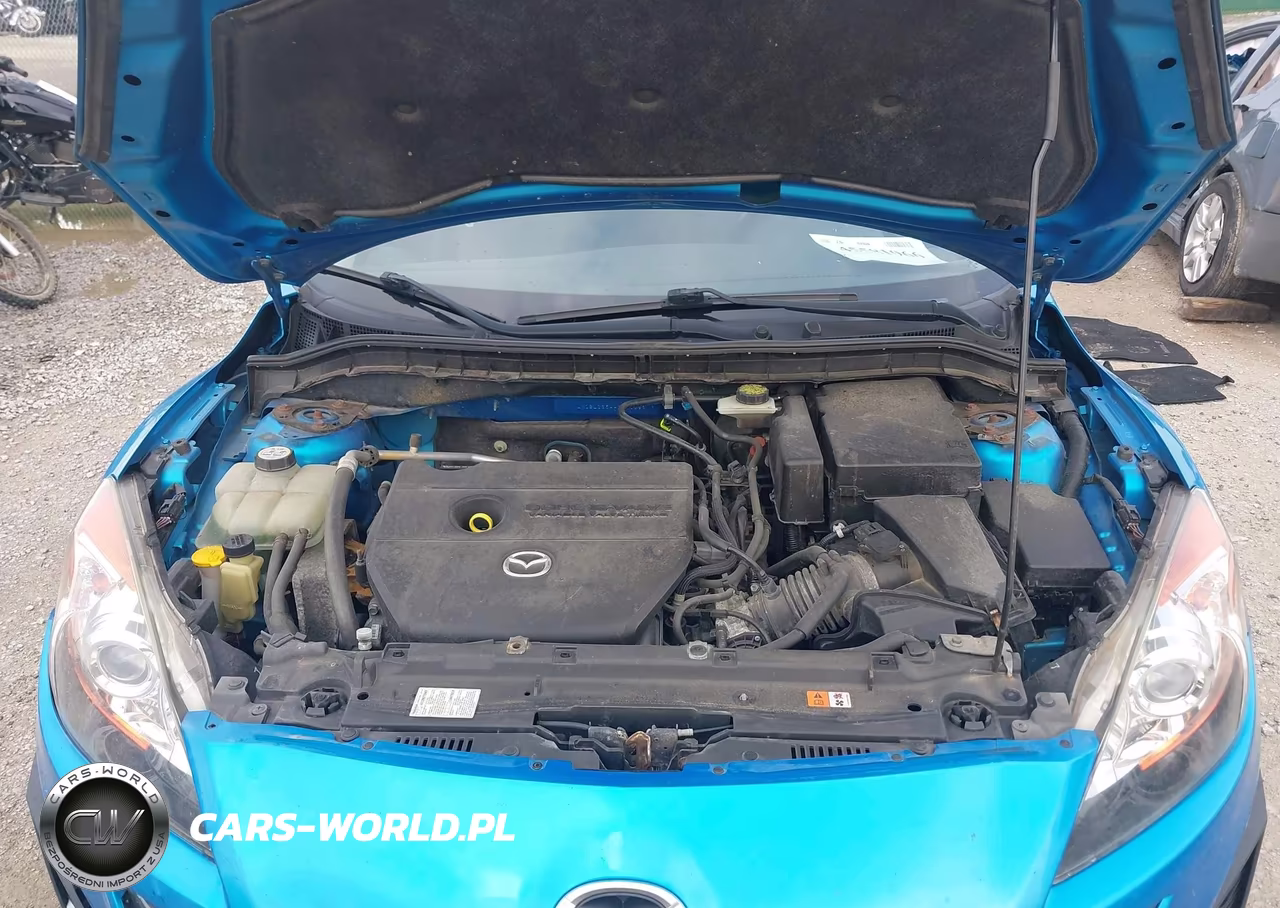 2010 Mazda 3 S VIN:JM1BL1S54A1316396 - 10