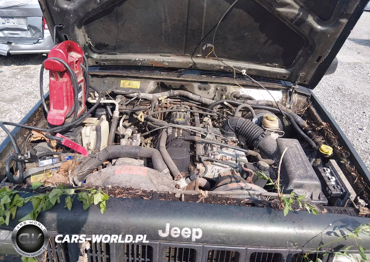1997 Jeep Cherokee Se VIN:1J4FJ28S6VL529123 - 10