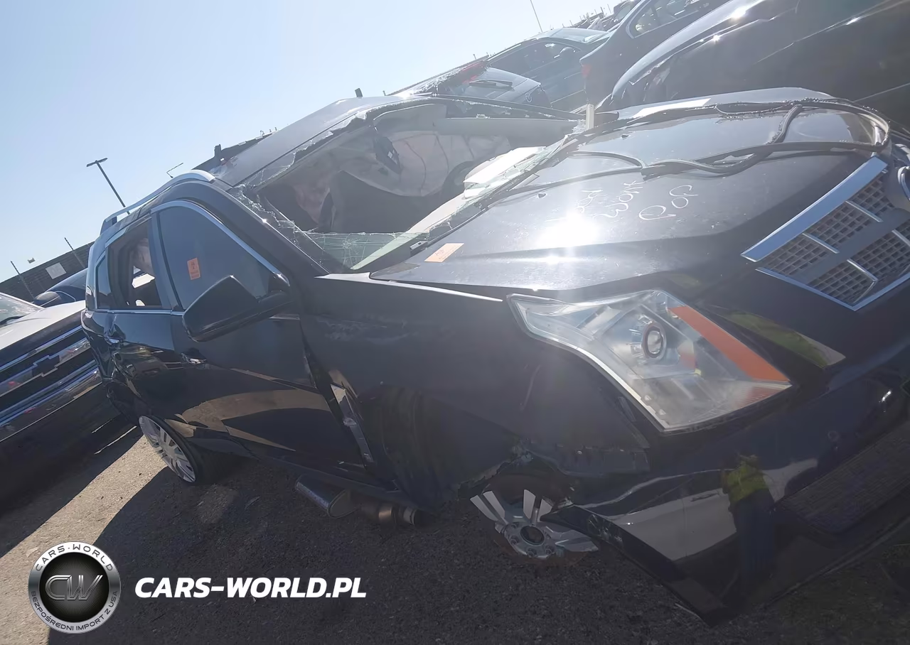 2010 Cadillac Srx Luxury Collection VIN:3GYFNDEY5AS629324 - 11